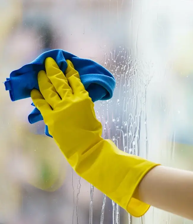 Window Cleaning Services 2