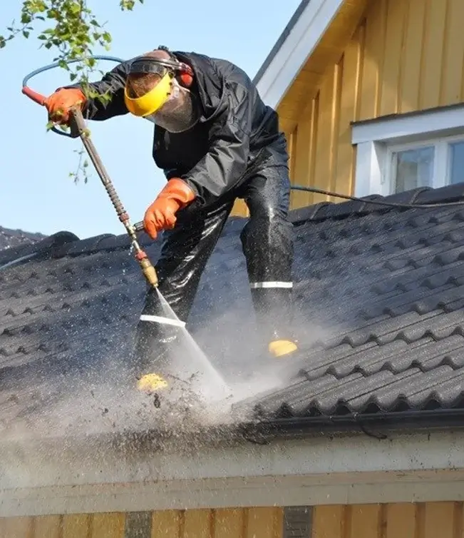 Gutter Cleaning Services 4