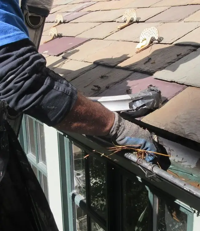 Gutter Cleaning Services 6